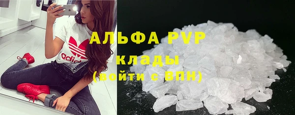 стаф Белокуриха