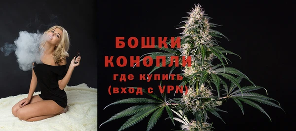 стаф Богородск