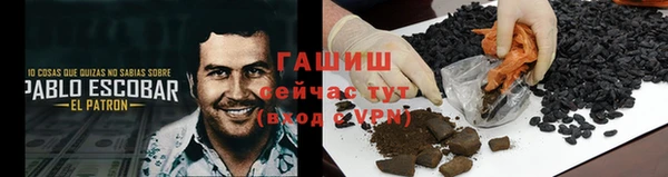 стаф Богородск