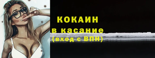 стаф Богородск