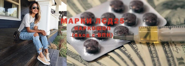 стаф Богородск